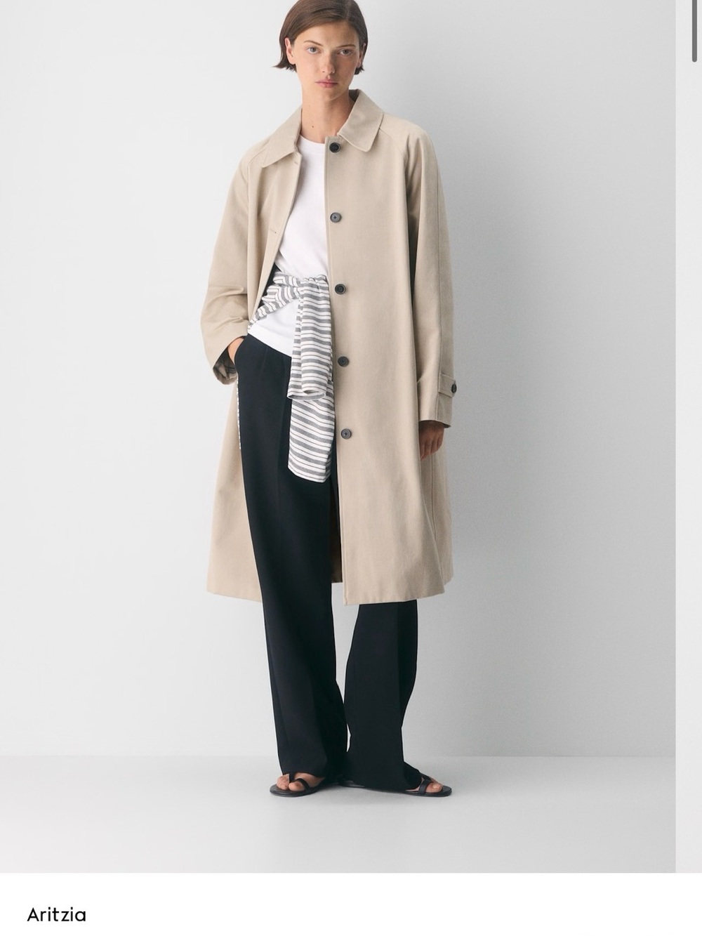 Aritzia Regent Trench Coat